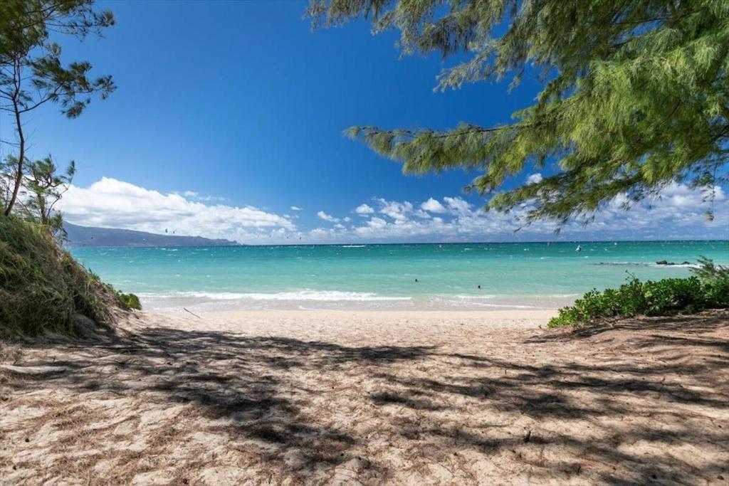 Unit 18 Maui Ohana Modern Studio Wailuku Екстериор снимка